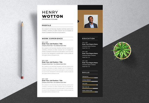 Creative Resume Template Layout