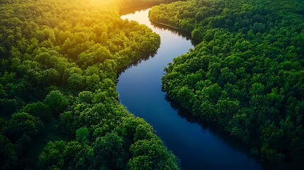 Fototapeta premium Aerial view of curved forest river high resolution picture