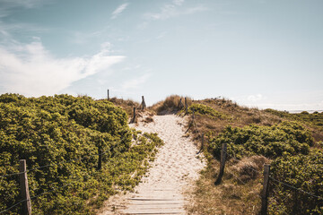 Dune Path on Wangerooge &ndash; Green Coastal Landscape with Natural Walkway