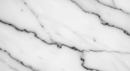 Obraz premium Elegant abstract design featuring classic white and gray marble texture