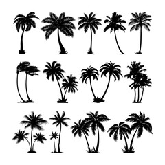 palm tree silhouettes image collection