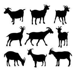 various goat animal silhouettes
