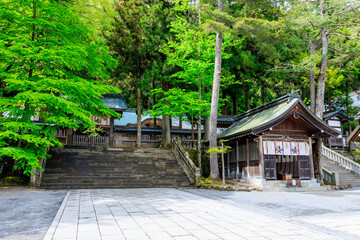 初夏の諏訪大社 上社 本宮　長野県諏訪市　Suwa Taisha Shrine in early summer. Kamisha. Main shrine. Nagano Pref, Suwa City.