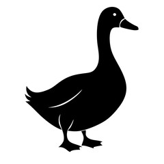 duck silhouette, black vector bird shape on white background.