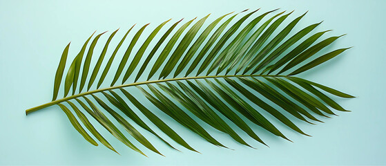 Obraz premium Tropical palm leaves, large fronds, flat design, top view, summer vibes theme, water color, Tetradic color scheme