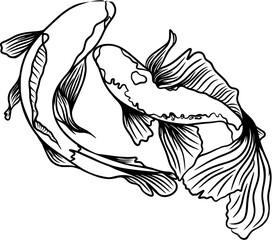 vector illustration of a fish