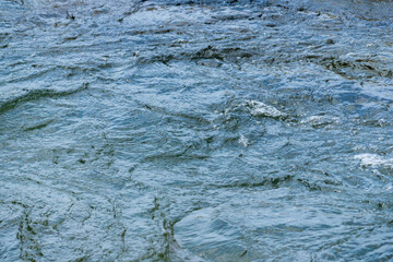 5月の水面　川の流れ42