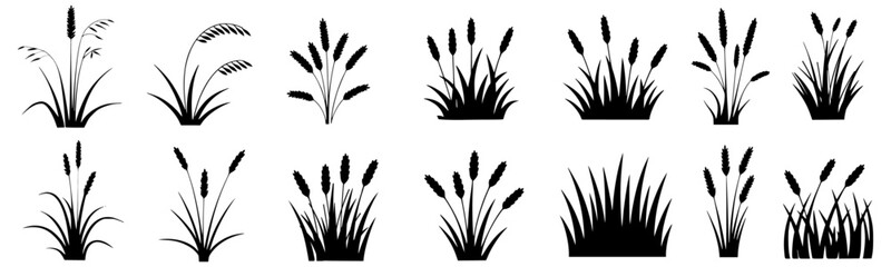 Grass and Plant Vector Silhouette Set in Black and White, Natural Elements for Landscape and Eco Design