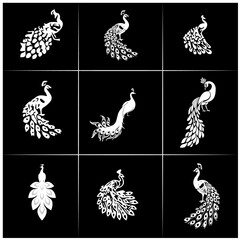 peacock editable black and white group   vector 1