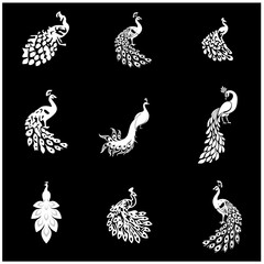 peacock editable black and white vector set 3