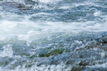 5月の水面　川の流れ58