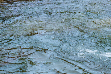 5月の水面　川の流れ63