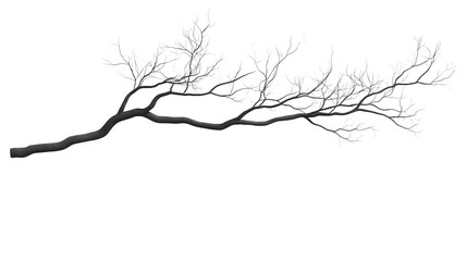 realistic transparent PNG of tree branch shadow with gentle light, diffused and natural, ideal for layering in design projects