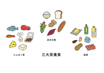 三大栄養素の食品 手描きイラストセット