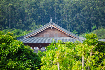 Ancient Architecture in the Mountain Forest