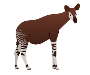Unique and charming okapi vector design. Perfect for endangered animal or safari themed projects.
