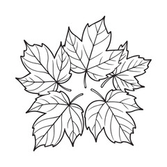 autumn maple leaf leaves watercolor set painting drawing cut out isolated on white background