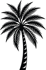 Fototapeta premium palm trees silhouette