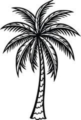 Obraz premium silhouette of palm tree