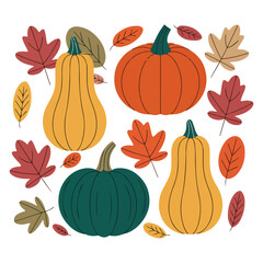 Vector set of colorful various pumpkins and autumn leaves in flat style isolated on white background