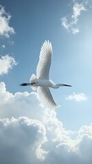 A white egret soars through a sky dotted with fluffy white clouds, its wings outstretched and beak pointed downwards, captured in a vivid close-up photograph.