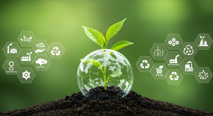 a young sprout grows out of the soil with glowing, environment-related icons hovering around it, symbolizing growth and nature preservation