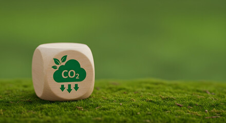 a wooden cube with a CO2 icon on a vibrant green surface, illustrating environmental protection. The scene emphasizes eco-consciousness and sustainability