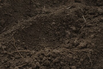 A close-up view of dark rich compost material.