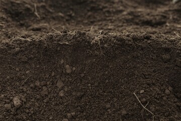A close-up view of dark rich compost material.