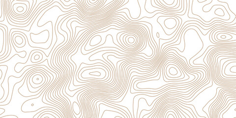  Topography wave line grid map. white wave line geography landscape Topo contour map on white background. Geographic mountain relief diagram line wave carve pattern.