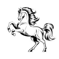 Rearing Horse Illustration - Black and White Tribal Stallion Artwork