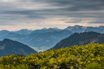 Germany, Bavaria, Allgaeu, mountain view at Riedberger Horn
