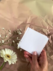 White paper in hand on beige backdrop with white flowers. white paper on the womans hand with copy space for your text. Dating notes, cool romantic backdrop. Vintage Saint Valentine background