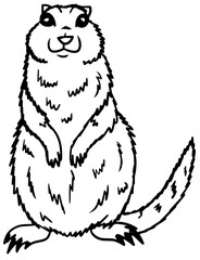 Arctic Ground Squirrel Line Art Animal Vector Outline Drawing