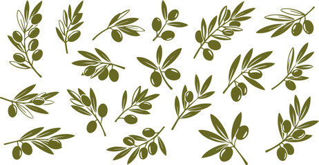 Create a kinds of olive icon set, olive branch isolated on white, Vector illustration with white background .