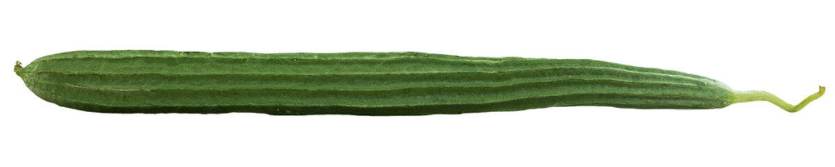 Green and Fresh Luffa Acutangula on Transparent Background