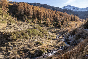 Sestri&egrave;re, Piemonte (Italy)