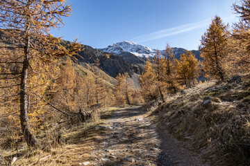 Sestrière, Piemonte (Italy)