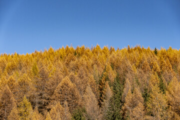 Sestrière, Piemonte (Italy)