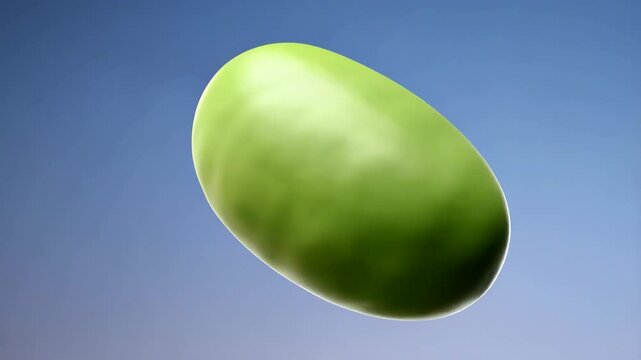 Close up of a green lima bean against a gradient sky background, organic legume bean in studio shot, healthy vegetarian food ingredient