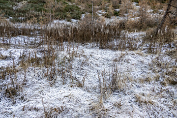 Sestri&egrave;re, Piemonte (Italy)
