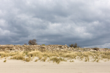 Coastal sand dunes with dry grass under overcast sky. Natural landscape with storm clouds and...