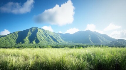 Fototapeta premium Serene Mountain Meadow Landscape