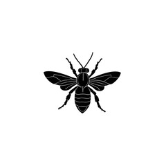 honeybee with geometric wing patterns 