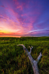 Sunrise in eastern North Carolina near Beaufort