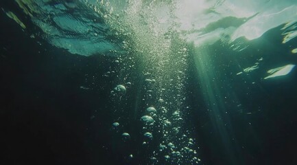 Sunlight beams through murky underwater