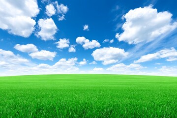 Obraz premium Vibrant Green Field Under Blue Sky - Serene landscape depicting a vast green field under a bright blue sky dotted with fluffy white clouds. Symbolizing peace, nature, growth, freedom, and tranquility