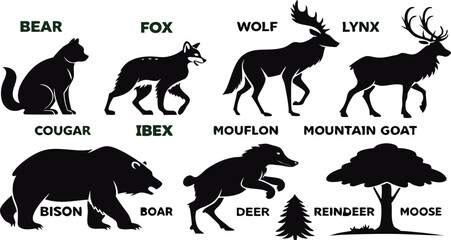 A detailed vector illustration of various wild forest animals in black silhouette style on a white background. Include multiple poses of each animal. Animals featured should include: bear, fox, wolf, 