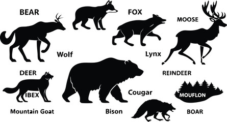 A detailed vector illustration of various wild forest animals in black silhouette style on a white background. Include multiple poses of each animal. Animals featured should include: bear, fox, wolf, 