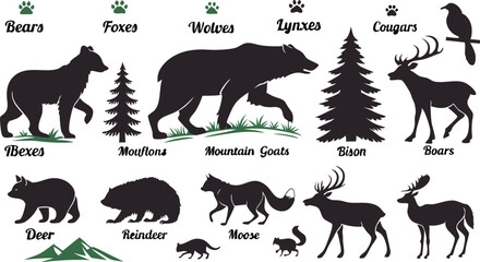 Naklejka premium A detailed vector illustration of various wild forest animals in black silhouette style on a white background. Include multiple poses of each animal. Animals featured should include: bear, fox, wolf, 